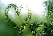 哪里能看日本乙级联赛直播？如何享受日乙赛事观赛体验？